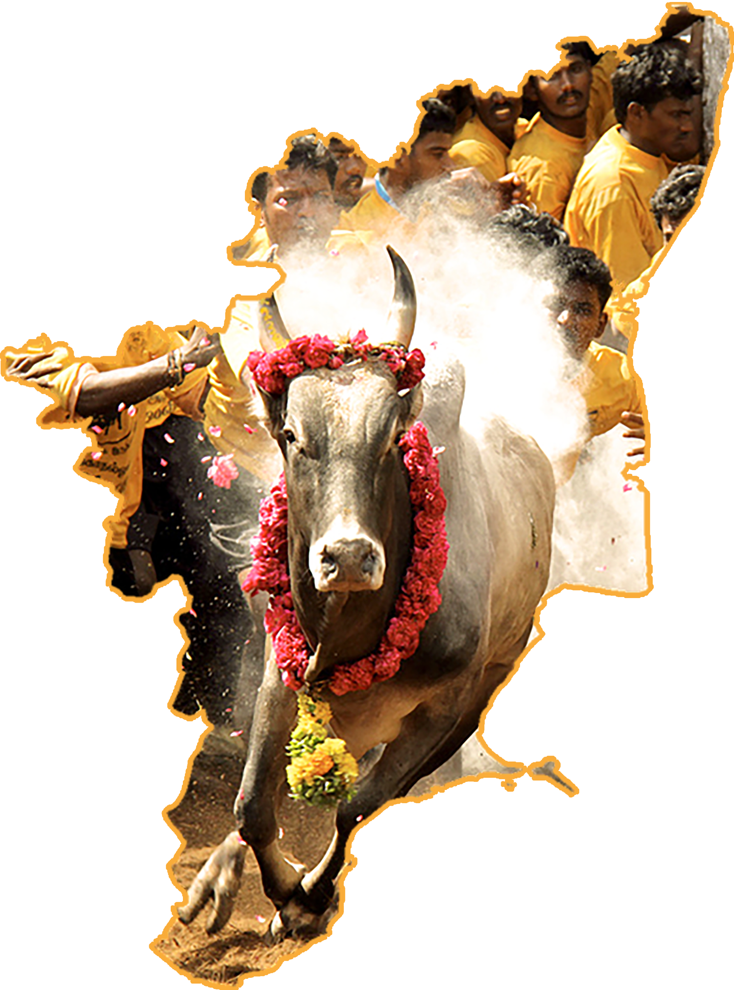 Jallikkattu | Pongal Cotton T-shirts